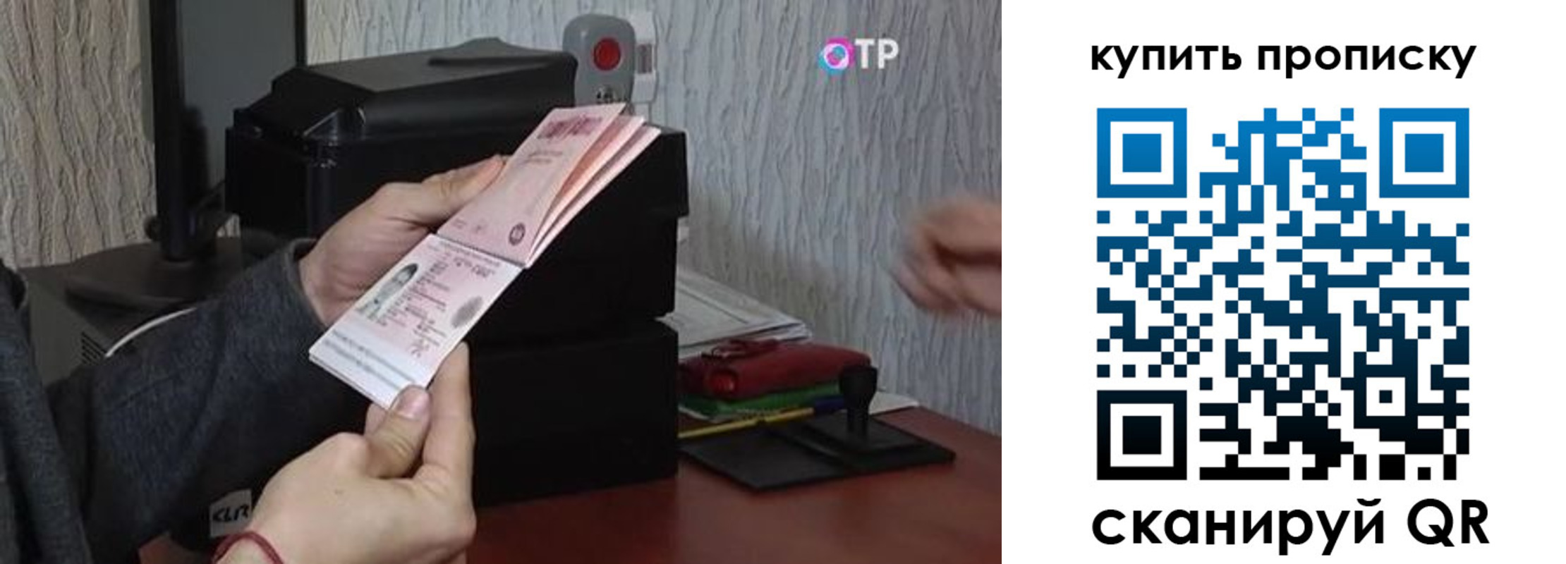 прописка гарантия в Щиграх
